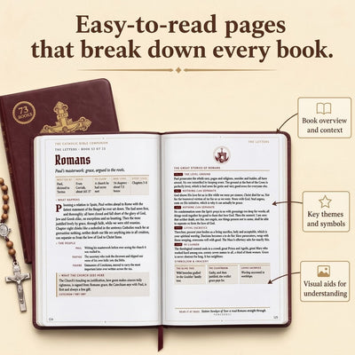 The Catholic Bible Companion New Edition