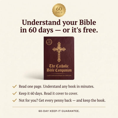 The Catholic Bible Companion New Edition