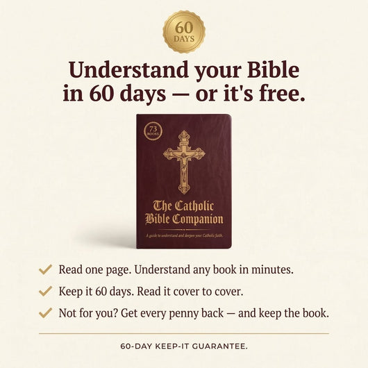 The Catholic Bible Companion New Edition